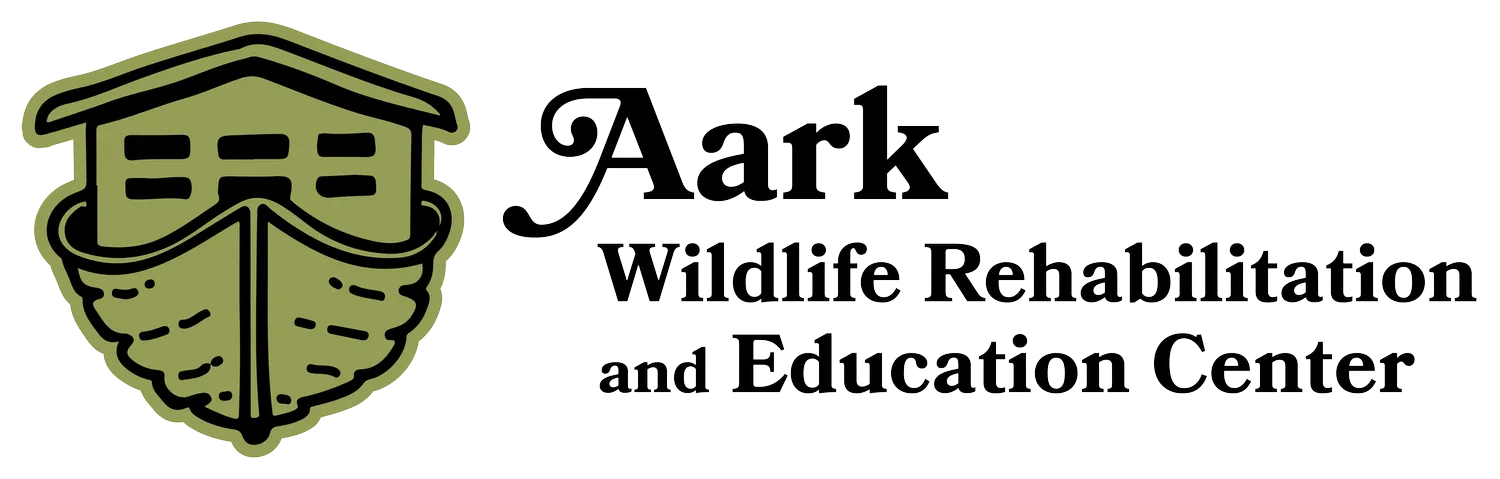 Aark Foundation Logo